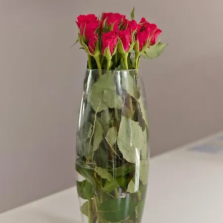 Rory Apartment Zadar